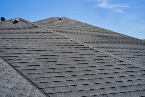 Best Roof Moss and Algae Removal  in Horton, KS